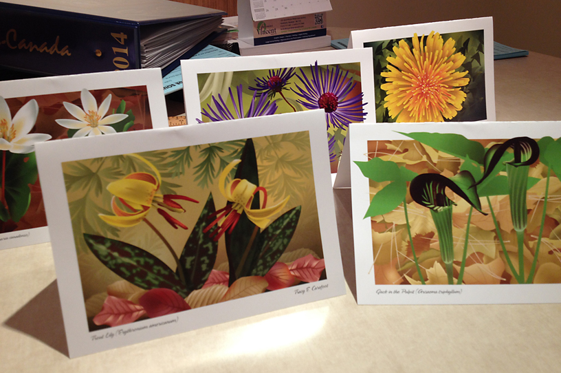 Flower Series Greeting Cards